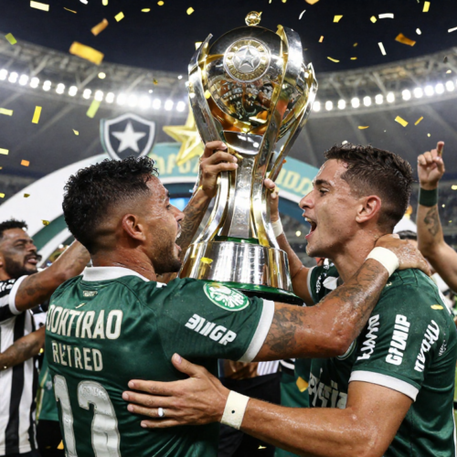 botafogo sp x palmeiras